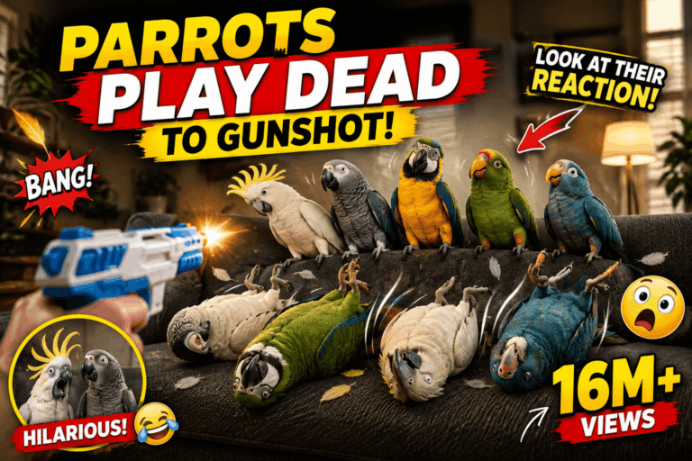 How to Create Viral Funny Parrot AI Videos: Complete Step-by-Step Tutorial (2026)